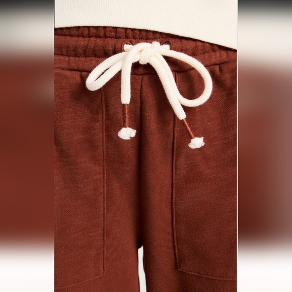 Madewell Rust Wide-Leg Pants with Cream Stripe - Picture 8 of 8